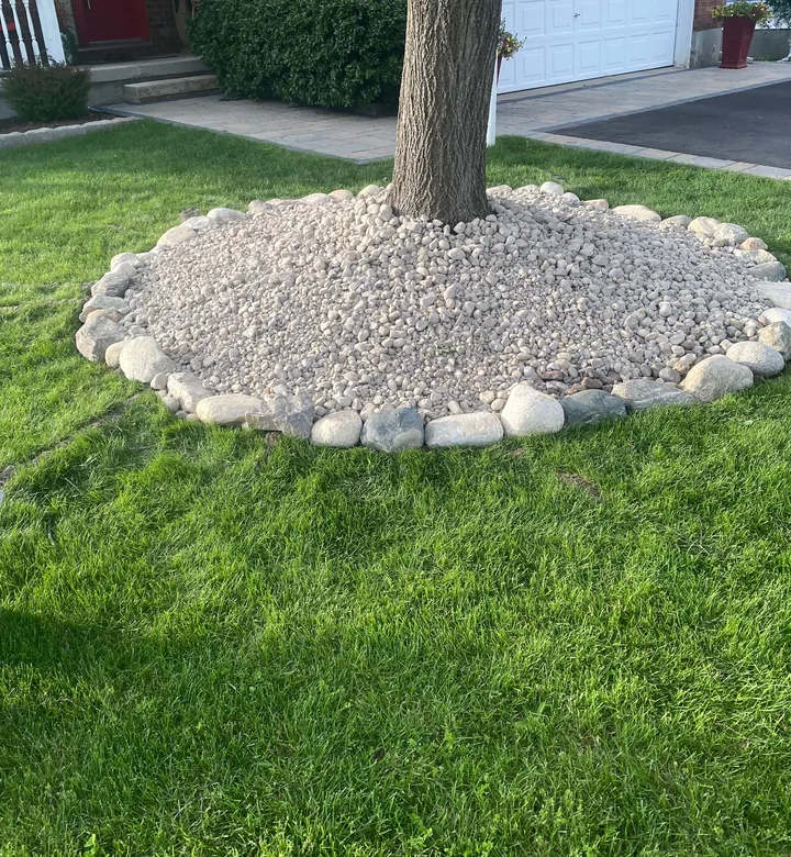 Natural stone ring set around a mature tree