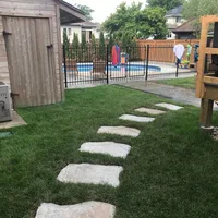 Stepping stones set into a lawn
